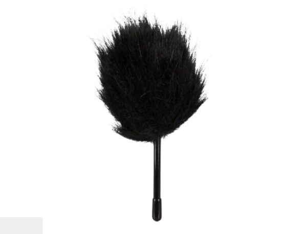 Feather Tickler Kutitin