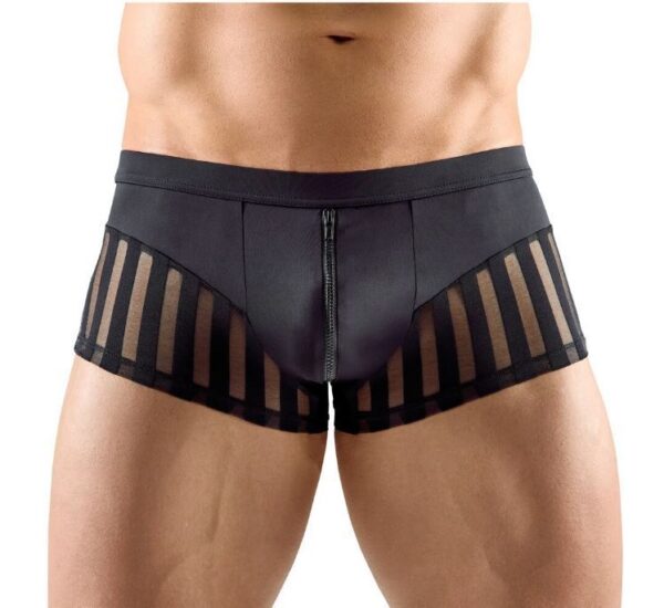 Svenjoyment Stripes Bokserit