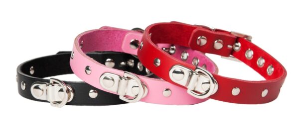 Sh! Leather Studded Princess Bondage Collar